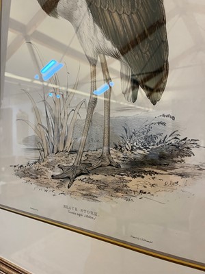 Lot 9 - Edward Lear (1812-1888)