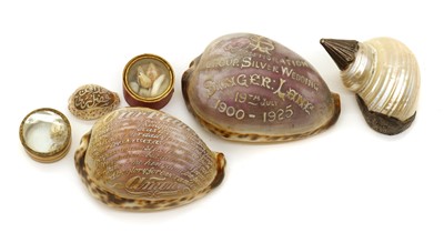 Lot 160 - A tiger cowrie shell