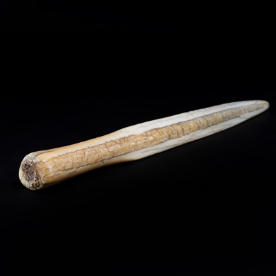 Lot 76 - An Inuit harpoon foreshaft