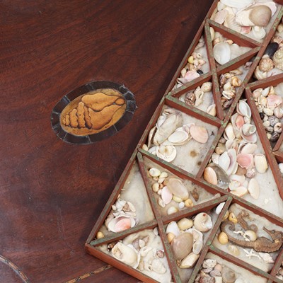 Lot 484 - A George III mahogany collector's table box