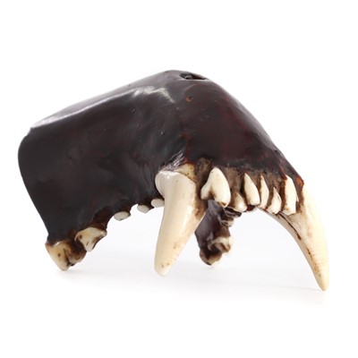 Lot 17 - An unusual netsuke