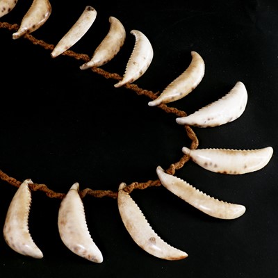 Lot 68 - A Conus shell warrior's necklace
