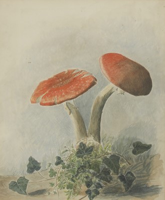 Lot 300 - William Henry Hunt OWS (1790-1864)