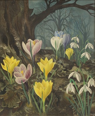 Lot 245 - Eppo Doeve (Dutch, 1907-1981)