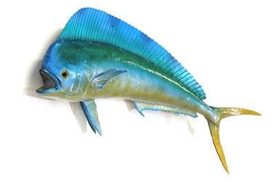 Lot 326 - A painted fibreglassed fishing trophy