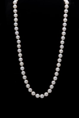 Lot 1332 - A single row uniform cultured pearl necklace
