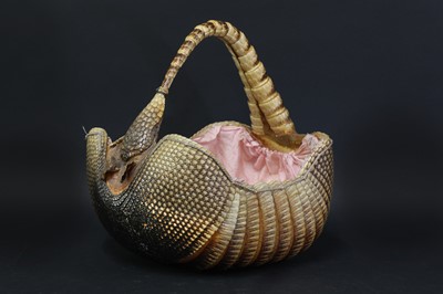 Lot 308 - A taxidermy armadillo swing basket