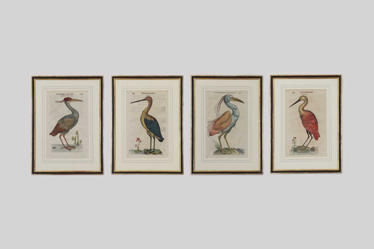 Lot 62 - Ulisse Aldrovandi (Italian, 1522-1605)
