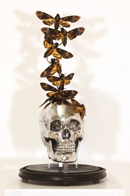 Lot 303 - A taxidermy vanitas