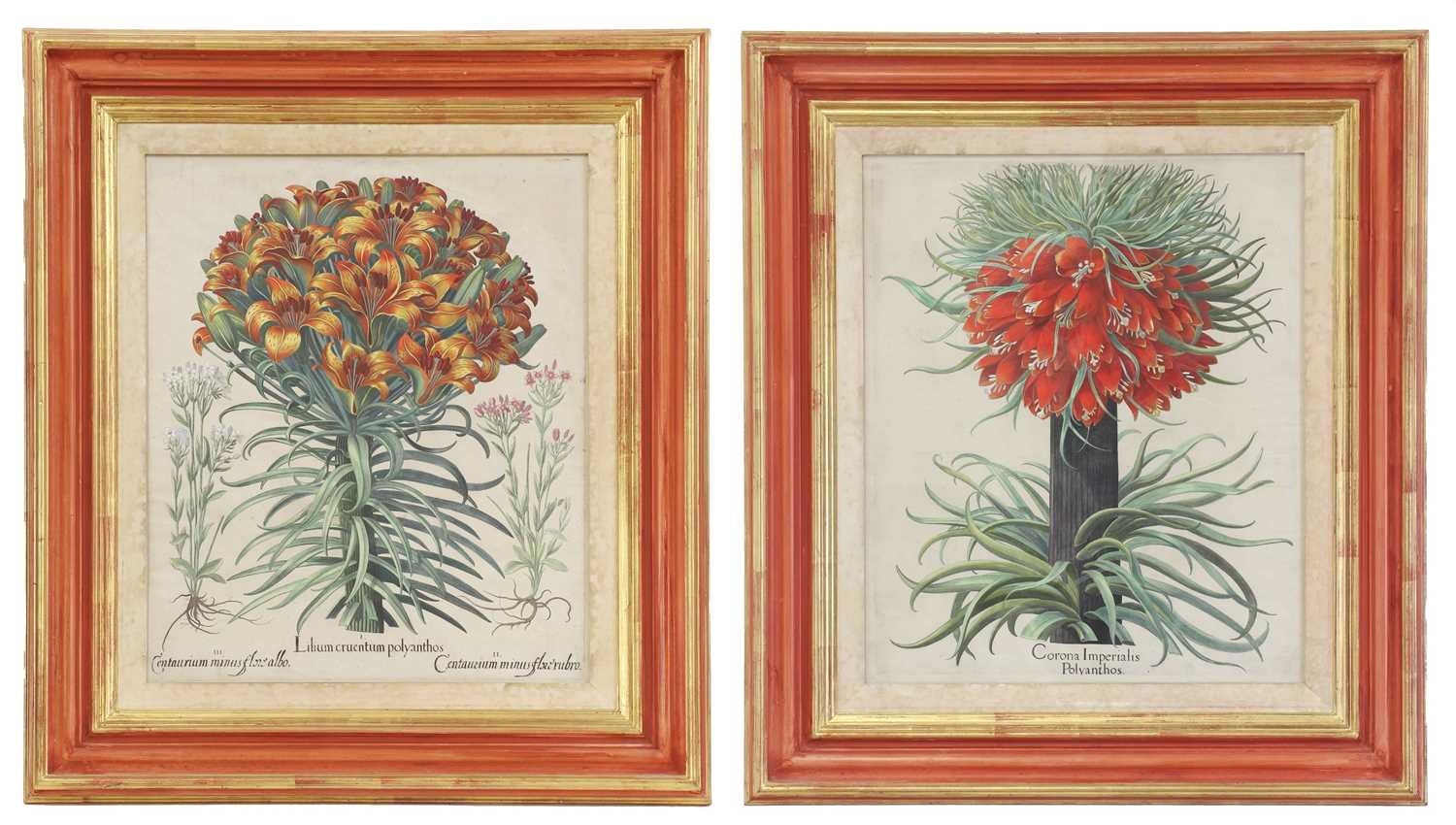 Lot 171 - After Basilius Besler