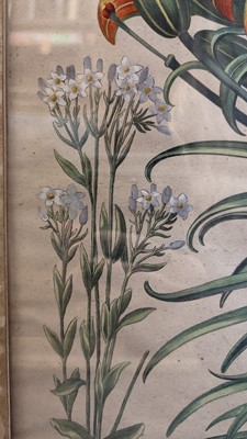 Lot 171 - After Basilius Besler