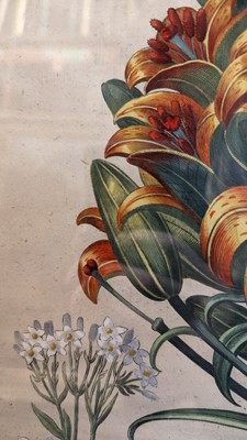 Lot 171 - After Basilius Besler