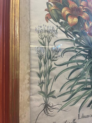 Lot 171 - After Basilius Besler