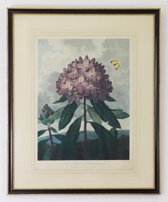 Lot 106 - Robert John Thornton (1768-1873), publisher