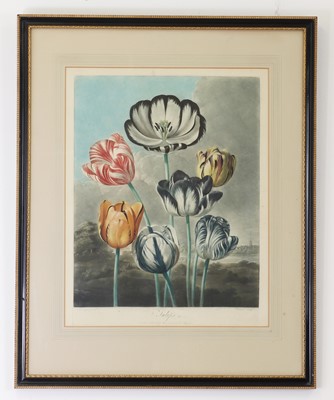 Lot 106 - Robert John Thornton (1768-1873), publisher