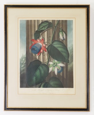 Lot 106 - Robert John Thornton (1768-1873), publisher