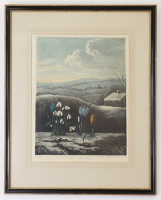 Lot 106 - Robert John Thornton (1768-1873), publisher