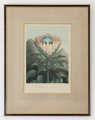 Lot 106 - Robert John Thornton (1768-1873), publisher