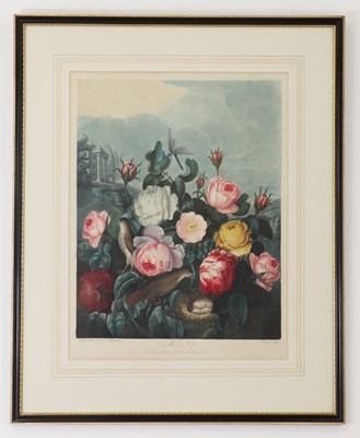 Lot 106 - Robert John Thornton (1768-1873), publisher