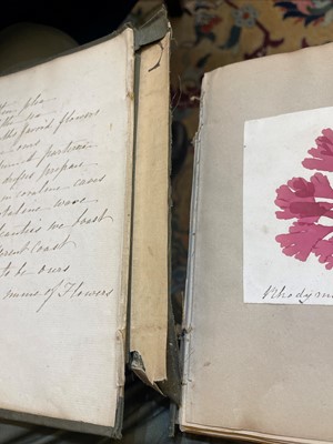 Lot 378 - Three Victorian albums of pressed seaweed specimens