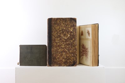 Lot 378 - Three Victorian albums of pressed seaweed specimens