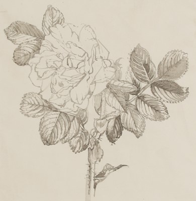 Lot 208 - John Aldridge RA (1905-1983)