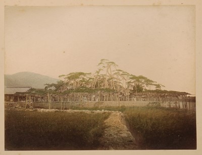 Lot 365 - A lacquered photograph album