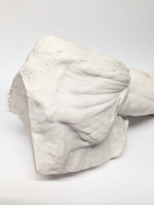 Lot 17 - A plaster cast model