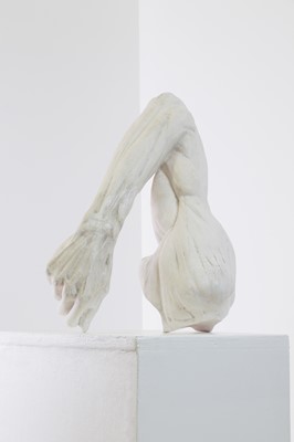 Lot 17 - A plaster cast model