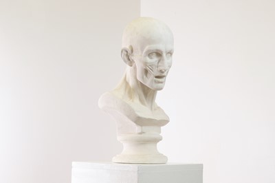Lot 19 - After Jean-Antoine Houdon