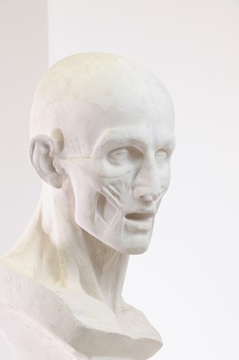 Lot 19 - After Jean-Antoine Houdon