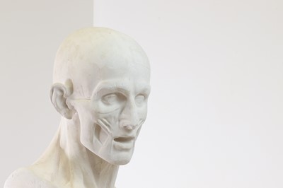 Lot 19 - After Jean-Antoine Houdon
