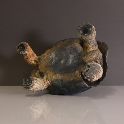 Lot 134 - Jemma Pearson (b.1960)