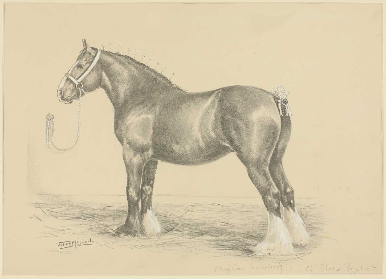 Lot 63 - Juliet McLeod (1917-1982)