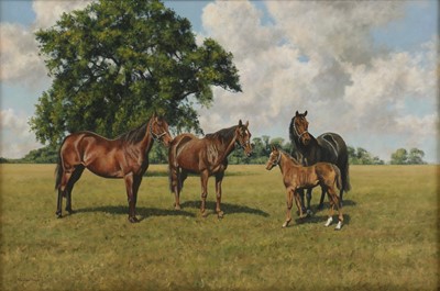 Lot 44 - Stephen Park (b.1953)
