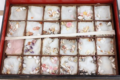 Lot 318 - A black-lacquered and mother-of-pearl inlaid collector's box