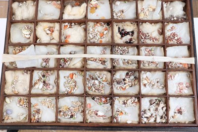 Lot 318 - A black-lacquered and mother-of-pearl inlaid collector's box