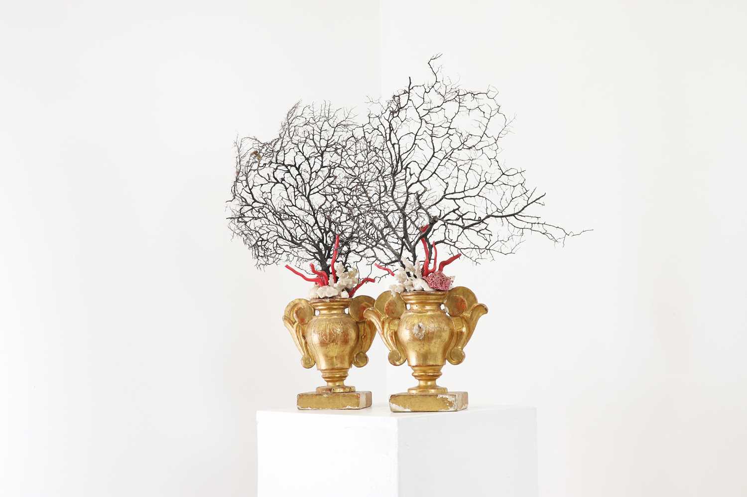 Lot 320 - A pair of giltwood, coral and shell altar urns