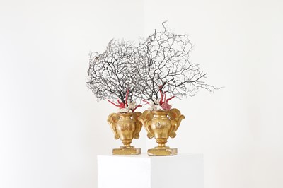 Lot 320 - A pair of giltwood, coral and shell altar urns