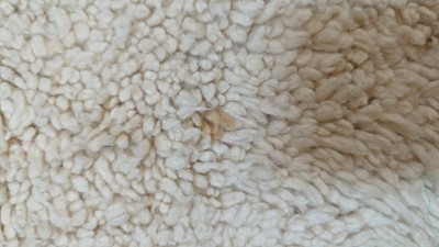 Lot 355 - A wool Berber or Beni Ourain rug