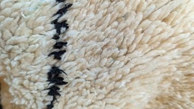 Lot 355 - A wool Berber or Beni Ourain rug