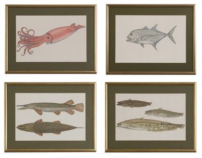 Lot 258 - Phil Coles (contemporary)