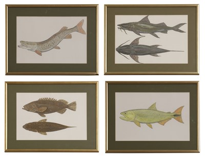 Lot 261 - Phil Coles (contemporary)