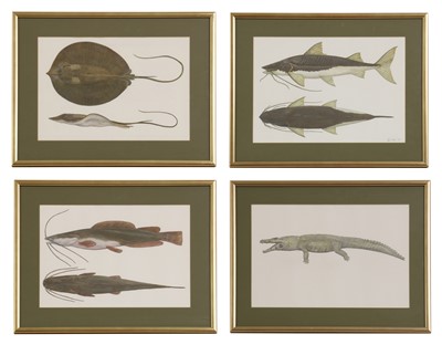 Lot 262 - Phil Coles (contemporary)