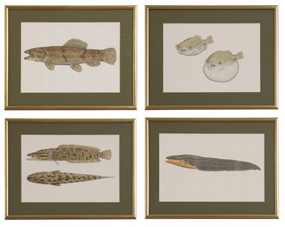 Lot 264 - Phil Coles (contemporary)
