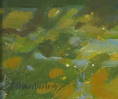 Lot 229 - Trevor Chamberlain ROI RSMA (b.1933)