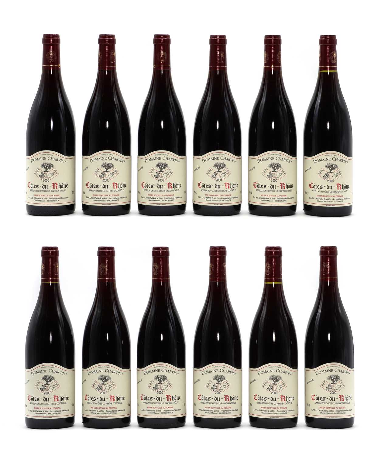 Lot 66 - Cotes-du-Rhone
