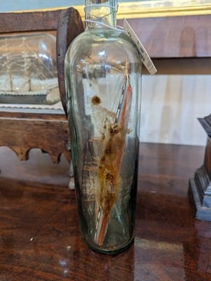 Lot 46 - A group of three ships in bottles
