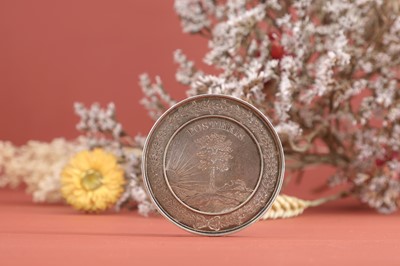Lot 373 - A York Agricultural Institute silver medal