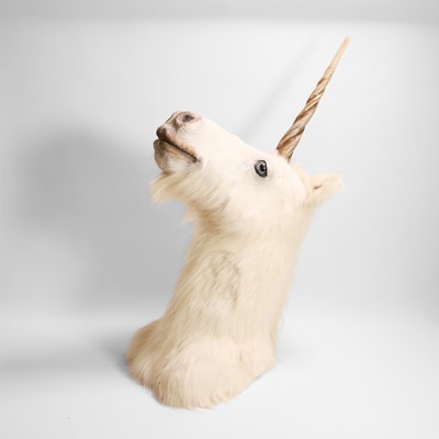 Lot 61 - Taxidermy: a unicorn head mount